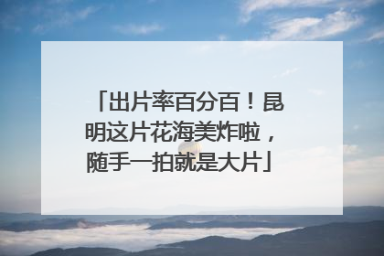 出片率百分百！昆明这片花海美炸啦，随手一拍就是大片
