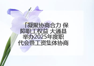 凝聚协商合力 保障职工权益 大通县举办2025年度职代会暨工资集体协商现场观摩交流活动