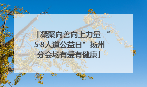 凝聚向善向上力量 “5·8人道公益日”扬州分会场有爱有健康