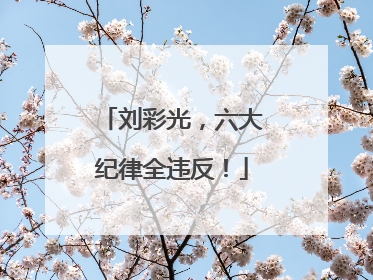 刘彩光，六大纪律全违反！