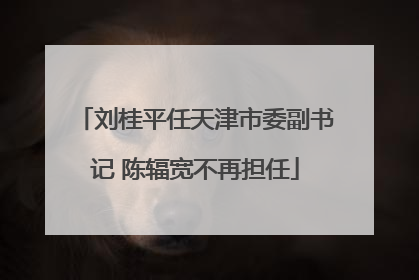 刘桂平任天津市委副书记 陈辐宽不再担任