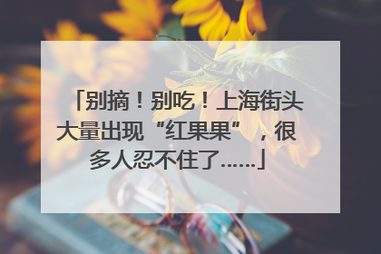 别摘！别吃！上海街头大量出现“红果果”，很多人忍不住了……