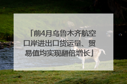 前4月乌鲁木齐航空口岸进出口货运量、贸易值均实现翻倍增长