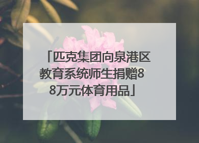匹克集团向泉港区教育系统师生捐赠88万元体育用品