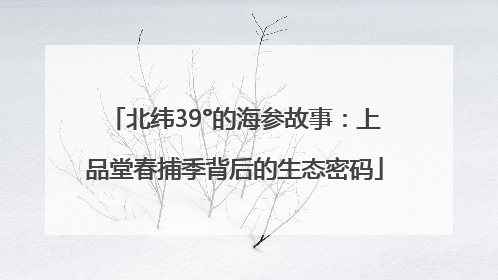 北纬39°的海参故事：上品堂春捕季背后的生态密码