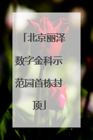 北京丽泽数字金科示范园首栋封顶