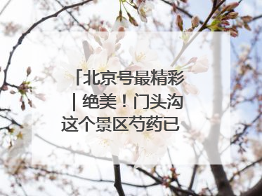 北京号最精彩｜绝美！门头沟这个景区芍药已花开成海