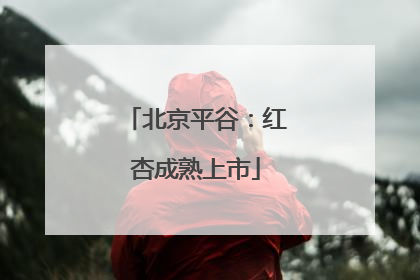 北京平谷：红杏成熟上市