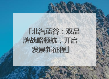 北汽蓝谷：双品牌战略领航，开启发展新征程