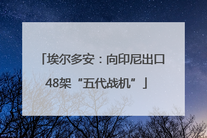 埃尔多安：向印尼出口48架“五代战机”