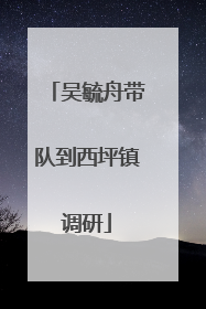 吴毓舟带队到西坪镇调研