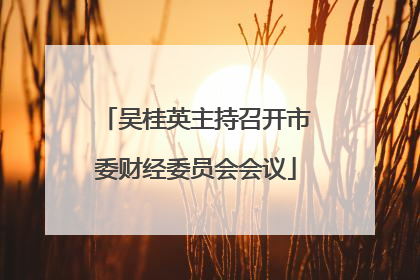 吴桂英主持召开市委财经委员会会议