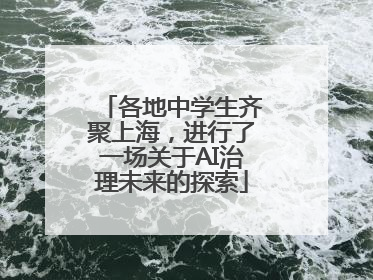 各地中学生齐聚上海，进行了一场关于AI治理未来的探索