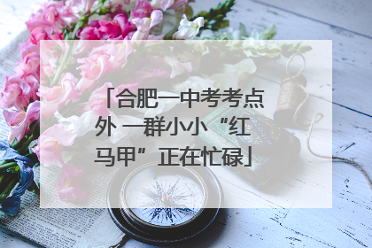 合肥一中考考点外 一群小小“红马甲”正在忙碌