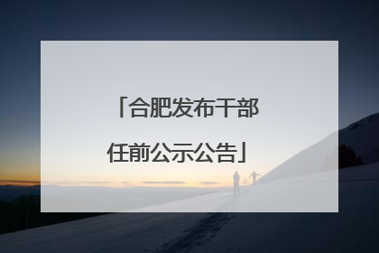合肥发布干部任前公示公告