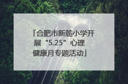 合肥市新麓小学开展“5.25”心理健康月专题活动