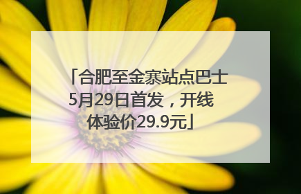 合肥至金寨站点巴士5月29日首发，开线体验价29.9元