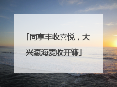 同享丰收喜悦，大兴瀛海麦收开镰