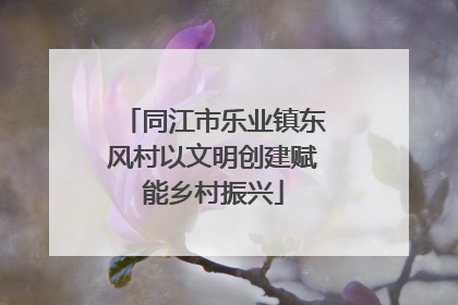 同江市乐业镇东风村以文明创建赋能乡村振兴