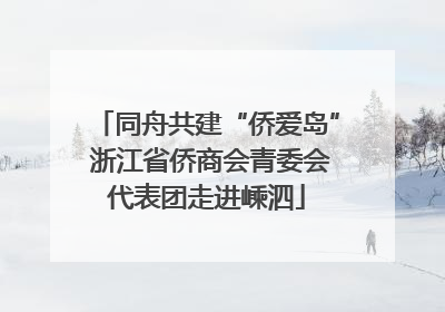 同舟共建“侨爱岛” 浙江省侨商会青委会代表团走进嵊泗