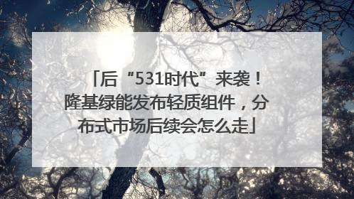 后“531时代”来袭！隆基绿能发布轻质组件，分布式市场后续会怎么走