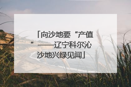 向沙地要“产值”——辽宁科尔沁沙地兴绿见闻