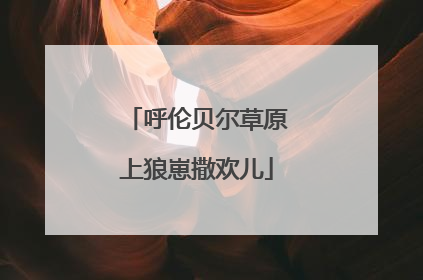 呼伦贝尔草原上狼崽撒欢儿