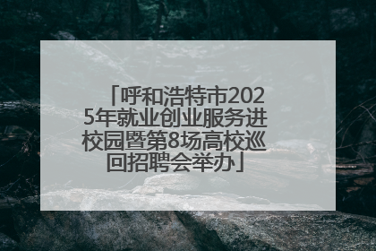 呼和浩特市2025年就业创业服务进校园暨第8场高校巡回招聘会举办