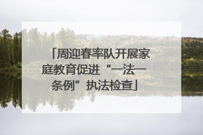 周迎春率队开展家庭教育促进“一法一条例”执法检查