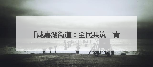 咸嘉湖街道：全民共筑“青春防毒墙” 守护无毒未来