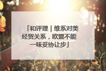 和评理｜维系对美经贸关系，欧盟不能一味妥协让步