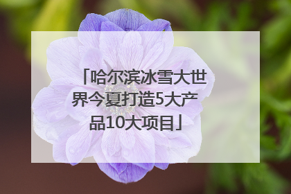 哈尔滨冰雪大世界今夏打造5大产品10大项目