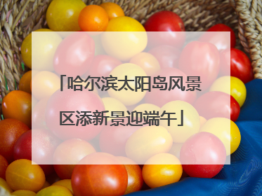 哈尔滨太阳岛风景区添新景迎端午