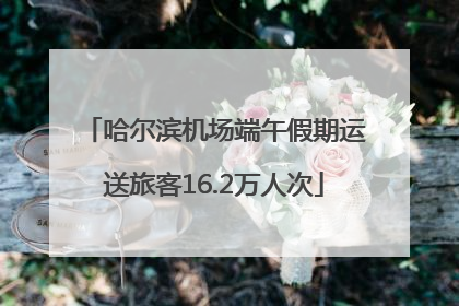 哈尔滨机场端午假期运送旅客16.2万人次