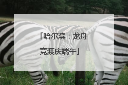 哈尔滨：龙舟竞渡庆端午