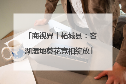 商视界丨柘城县：容湖湿地葵花竞相绽放