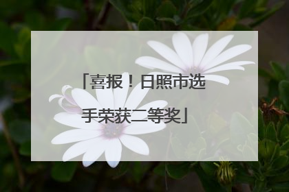 喜报！日照市选手荣获二等奖