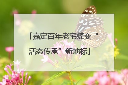 嘉定百年老宅蝶变“活态传承”新地标