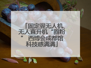 固定翼无人机、无人直升机“圈粉” 西博会成都馆科技感满满