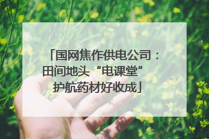 国网焦作供电公司：田间地头“电课堂” 护航药材好收成