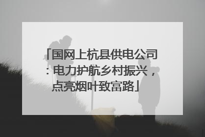 国网上杭县供电公司：电力护航乡村振兴，点亮烟叶致富路