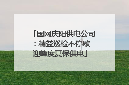 国网庆阳供电公司：精益巡检不停歇 迎峰度夏保供电