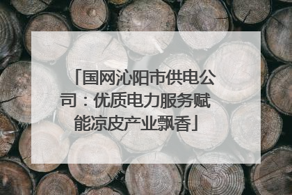 国网沁阳市供电公司：优质电力服务赋能凉皮产业飘香