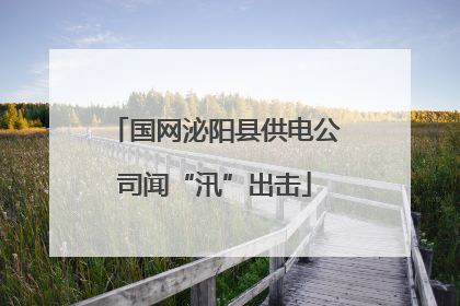 国网泌阳县供电公司闻“汛”出击