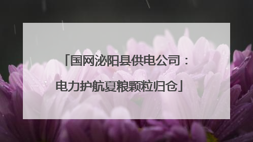 国网泌阳县供电公司：电力护航夏粮颗粒归仓