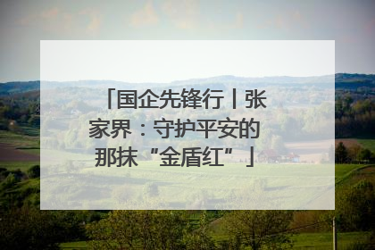 国企先锋行丨张家界：守护平安的那抹“金盾红”