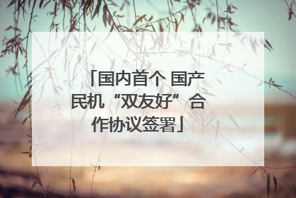 国内首个 国产民机“双友好”合作协议签署