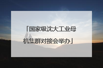 国家级沈大工业母机集群对接会举办