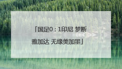 国足0∶1印尼 梦断雅加达 无缘美加墨