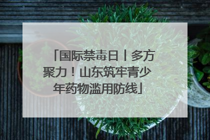 国际禁毒日丨多方聚力！山东筑牢青少年药物滥用防线